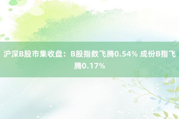 沪深B股市集收盘：B股指数飞腾0.54% 成份B指飞腾0.17%